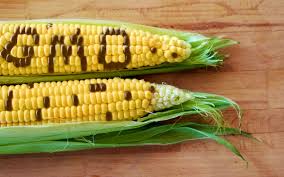 Agrochemicals